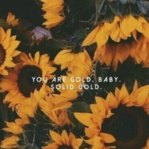 Meet your Posher, Chloe